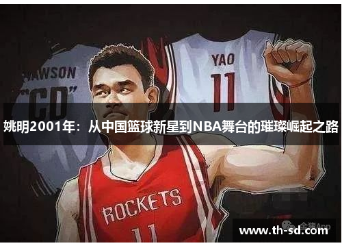 姚明2001年：从中国篮球新星到NBA舞台的璀璨崛起之路